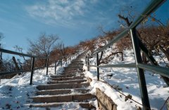 香山雪