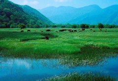 国家級森林と野生動物自然保護区