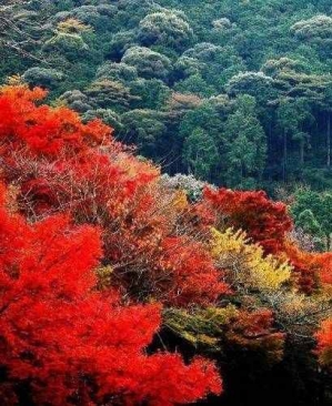 北海涠洲岛美景