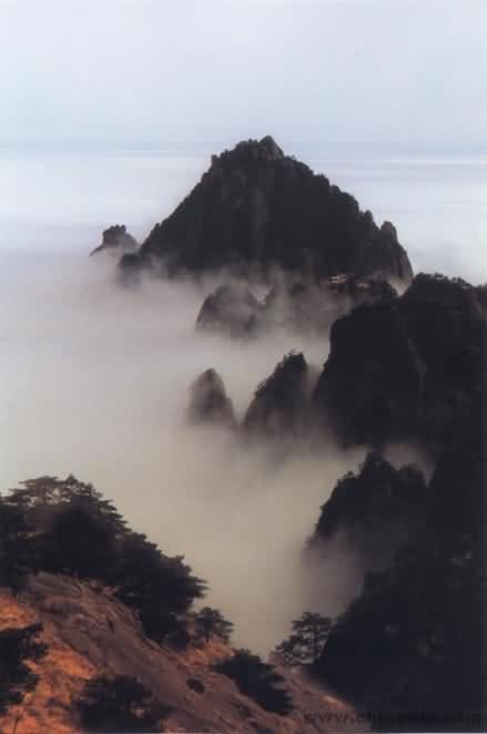 黄山-煙雲黄山10