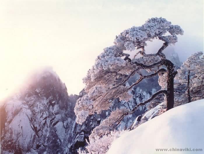 黄山-雪の中お客を送り