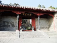 嵩陽書院（将軍柏）