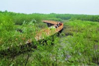 烏巾蕩湿地公園