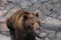 杭州動物園