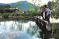 西湖十景(古)ー花港観魚