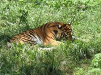 杭州動物園