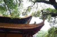 普陀山法雨寺