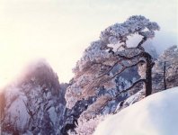 雪の中お客を送り