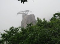 黄山雲谷寺