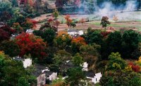 [黒多]県塔川村