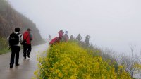 霞坑鎮石潭下太村