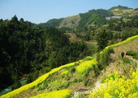 霞坑镇石潭棋山村