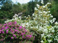 アモイ園林植物園