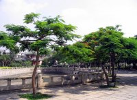 泉州清浄寺
