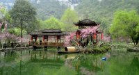 桃花源