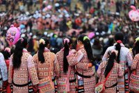 苗族跳花(跳月)祭り