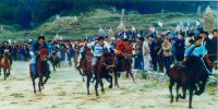三都水族