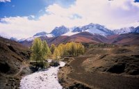 マニカンコ(馬尼干戈)