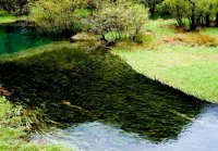 九寨溝きゅうさいこう(天鵞海) 九寨溝きゅうさいこう(天鵞海)