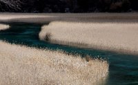 九寨溝きゅうさいこう(芦葦海)