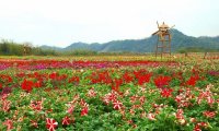 南昆山温泉大観園