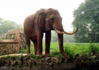 広州動物園