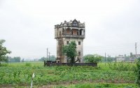 開平望楼(碉楼)