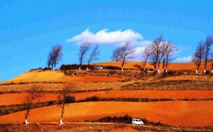 東川紅土地