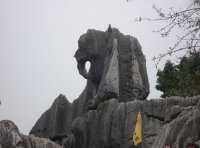石林(撮影：旅情中国お客様：黒川一成様)
