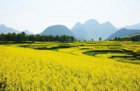 羅平多依河風景区