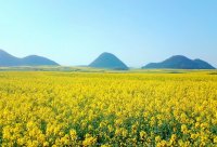 羅平多依河風景区