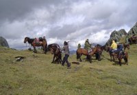 茶馬古道 茶馬古道
