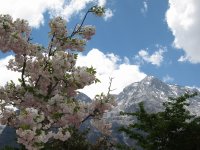 玉龍雪山(氷河公園)撮影者は旅情中国お客様：岸田明彦様