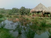 勐侖植物园(モンロン植物園)