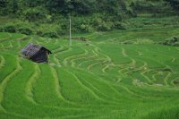 竜勝小寨梯田