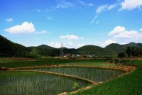 茘浦田園風光