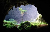 長寿村巴盤屯