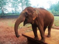 海口熱帯野生動植物園