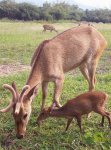 海口熱帯野生動植物園