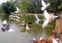 海口熱帯野生動植物園