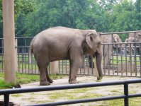 上海動物園