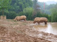 重慶野生動物世界