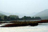 大亮子河国家森林公園 大亮子河国家森林公園