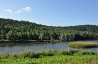 大亮子河国家森林公園 大亮子河国家森林公園
