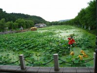 吉林市北山公園