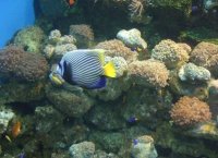 大連極地海洋動物館