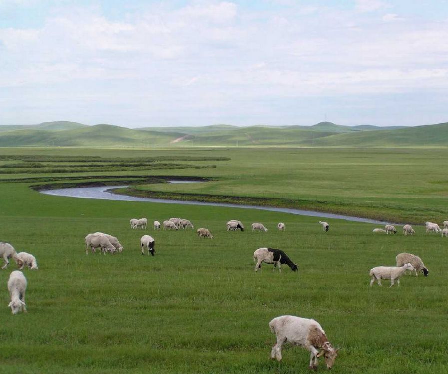 Hohhot
