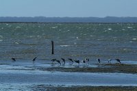 達里諾尓湖 達里諾尓湖