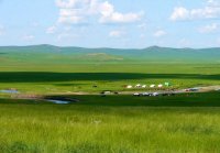 金帳汗モンゴル部落、草原