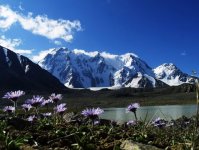 ウルムチ発天山天池日帰り観光